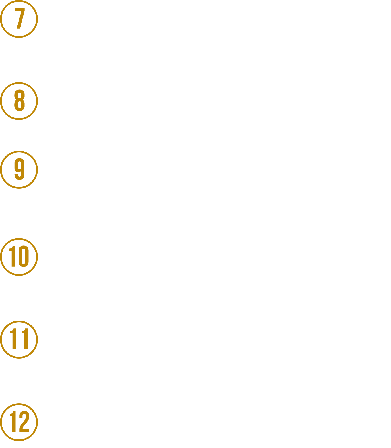 Descripcion_paquete_Premium_02