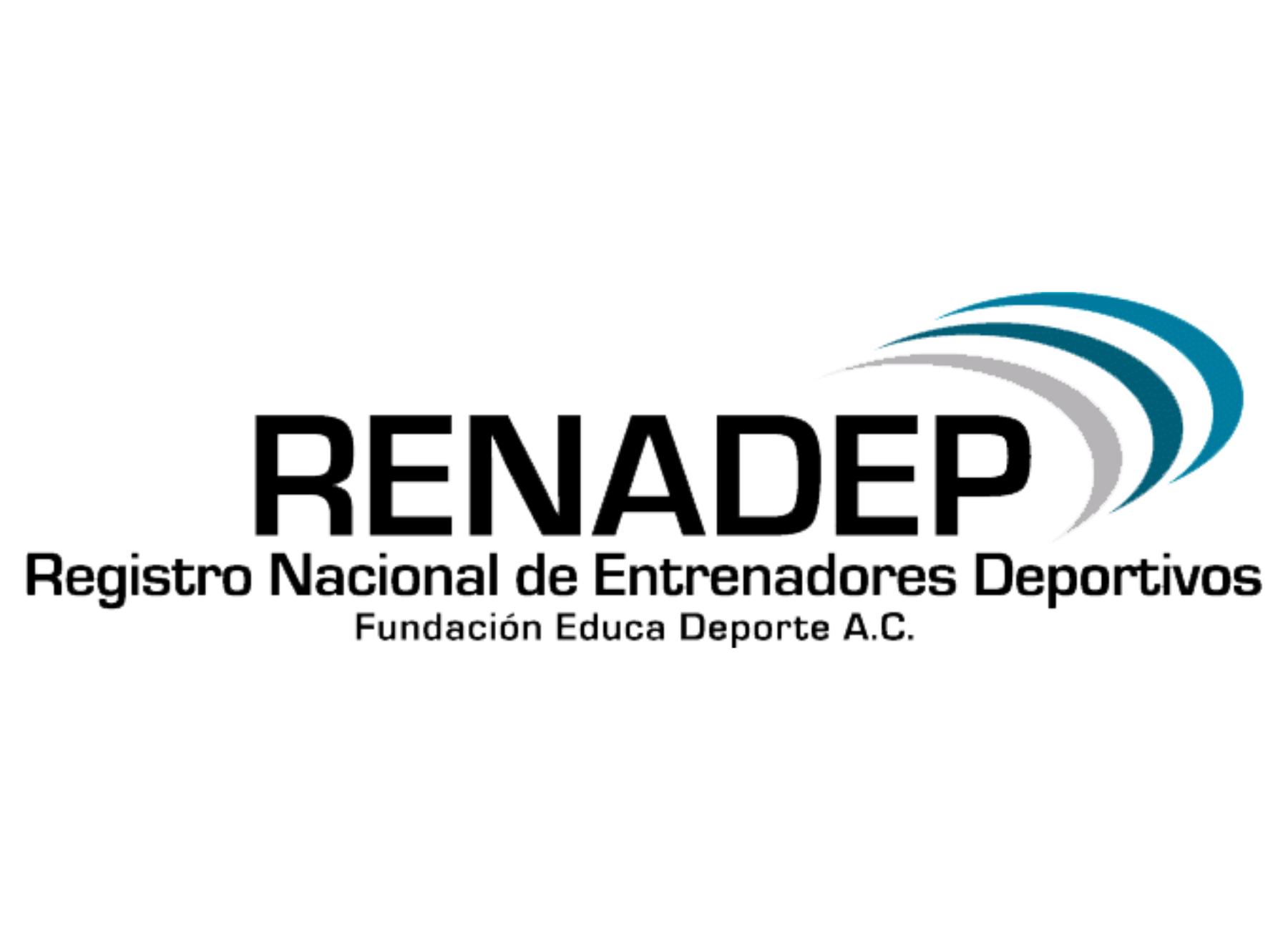 logo 04